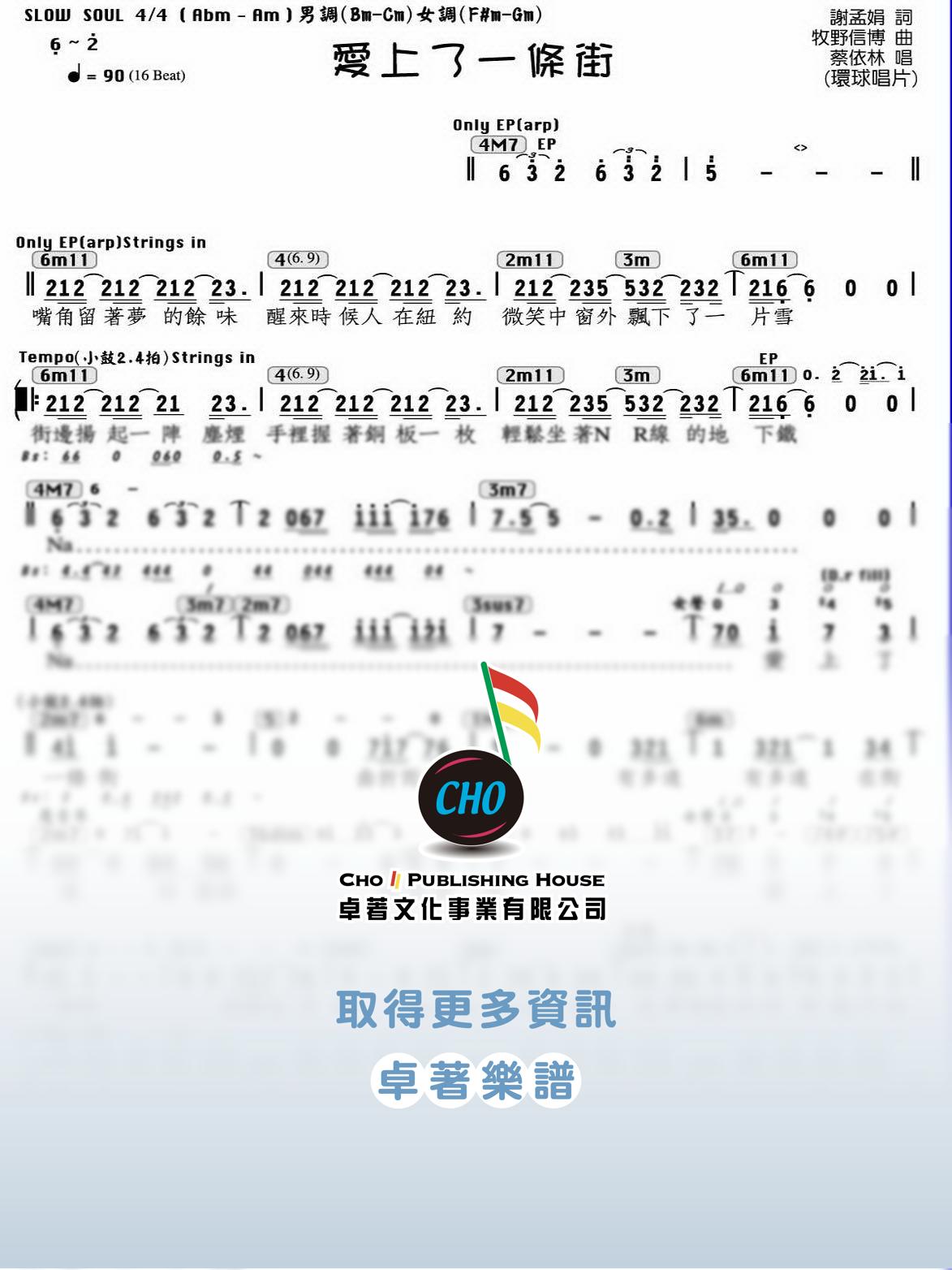 愛上了一條街
